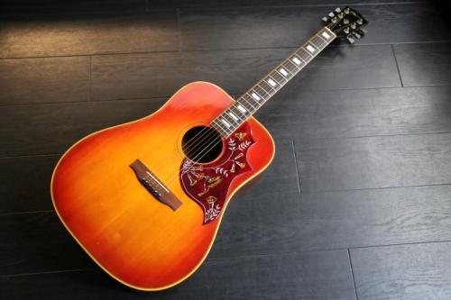Gibson Hummingbird 　