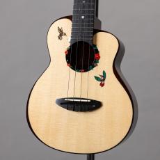 aNueNue aNN-UC200HB_2