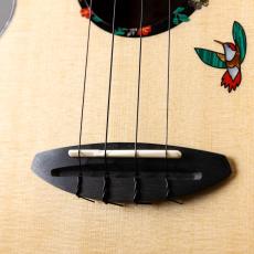 aNueNue aNN-UC200HB_3