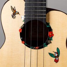 aNueNue aNN-UC200HB_4