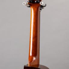 aNueNue aNN-UC200HB_8