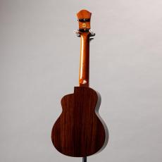 aNueNue aNN-UC200HB_12