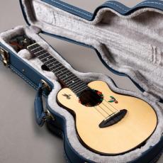 aNueNue aNN-UC200HB_13