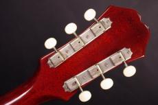 Epiphone TEXAN_5