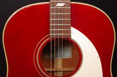 Epiphone TEXAN_8
