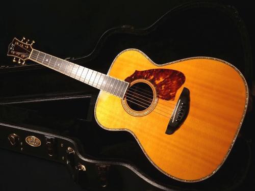 Terry's Terry (テリーズテリー)TMX-100【最高級スプルース×ハカランダモデル  超レアなOMサイズ もう出て来ない逸品です】先ずは解説試奏動画ご覧下さい。