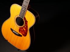 Terry's Terry (テリーズテリー)TMX-100【最高級スプルース×ハカランダモデル  超レアなOMサイズ もう出て来ない逸品です】先ずは解説試奏動画ご覧下さい。_3