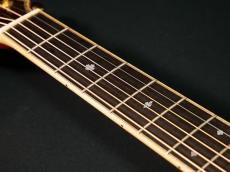 Terry's Terry (テリーズテリー)TMX-100【最高級スプルース×ハカランダモデル  超レアなOMサイズ もう出て来ない逸品です】先ずは解説試奏動画ご覧下さい。_9