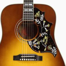 Gibson Hummingbird Koa Carpathian Spruce -Honey burst #23095087_5