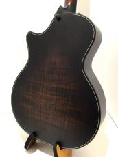Taylor Builder's Edition 314ce 50th Anniversary_5