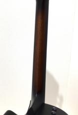 Taylor Builder's Edition 314ce 50th Anniversary_7