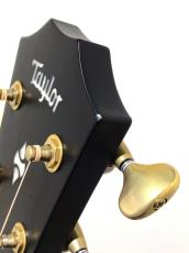 Taylor Builder's Edition 314ce 50th Anniversary_9