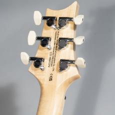 Paul Reed Smith [PRS] SE CUSTOM24 QP TEAL BLK_5