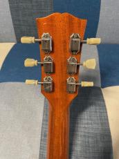 Burny RLG-70 Honeyburst_4
