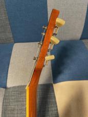 Burny RLG-70 Honeyburst_5