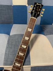 Burny RLG-70 Honeyburst_6