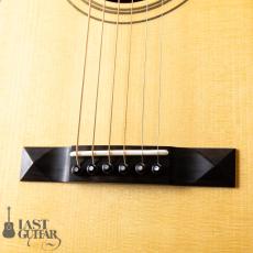 Shelley D. Park Vega Style Parlour LG10_3