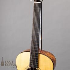 Shelley D. Park Vega Style Parlour LG10_5