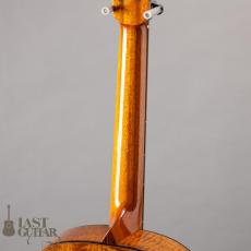 Shelley D. Park Vega Style Parlour LG10_8