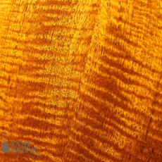 Shelley D. Park Vega Style Parlour LG10_10