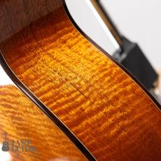 Shelley D. Park Vega Style Parlour LG10_11