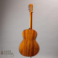 Shelley D. Park Vega Style Parlour LG10_12