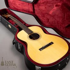 Shelley D. Park Vega Style Parlour LG10_13