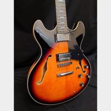 Sire Sire Larry Carlton H7 VS_3