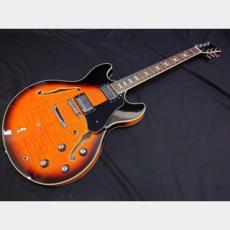 Sire Sire Larry Carlton H7 VS_5