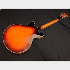 Sire Sire Larry Carlton H7 VS_6
