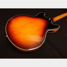 Sire Sire Larry Carlton H7 VS_7