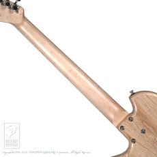 dragonfly Maroon SP_6