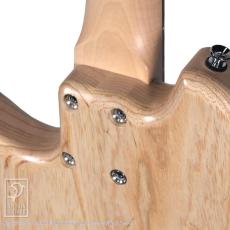 dragonfly Maroon SP_12