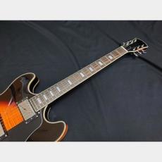 Sire Sire Larry Carlton H7 VS_8