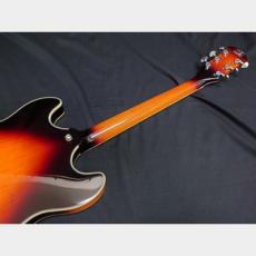 Sire Sire Larry Carlton H7 VS_10