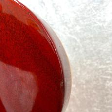 Gibson 60s Les Paul Plus_12