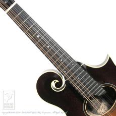 Collings MF-O 【48回無金利対象品】_5
