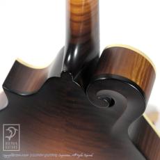 Collings MF-O 【48回無金利対象品】_12