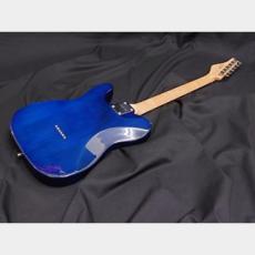 SCHECTER SCHECTER OL-PT-P90/DBL/R_4