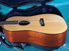 Martin CS-D18-12 DITSON_4
