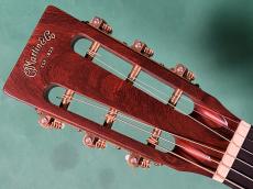 Martin CS-D18-12 DITSON_5