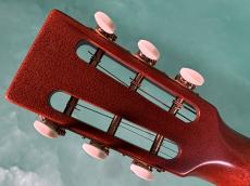 Martin CS-D18-12 DITSON_6