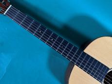 Martin CS-D18-12 DITSON_8