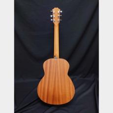 Taylor Taylor GS Mini_2