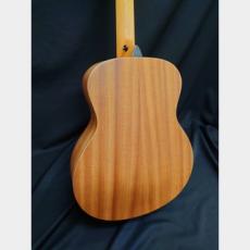 Taylor Taylor GS Mini_4