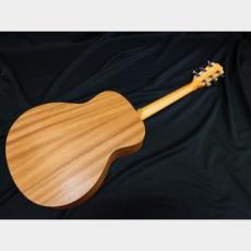 Taylor Taylor GS Mini_6