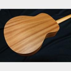 Taylor Taylor GS Mini_7