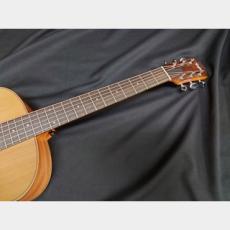 Taylor Taylor GS Mini_9