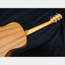 Taylor Taylor GS Mini_10