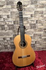 デーン・ハンコック　Dane M. Hancock トーレスモデル　2018年製_2